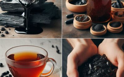 Shilajit: The Powerful Ancient Remedy for Modern Wellness